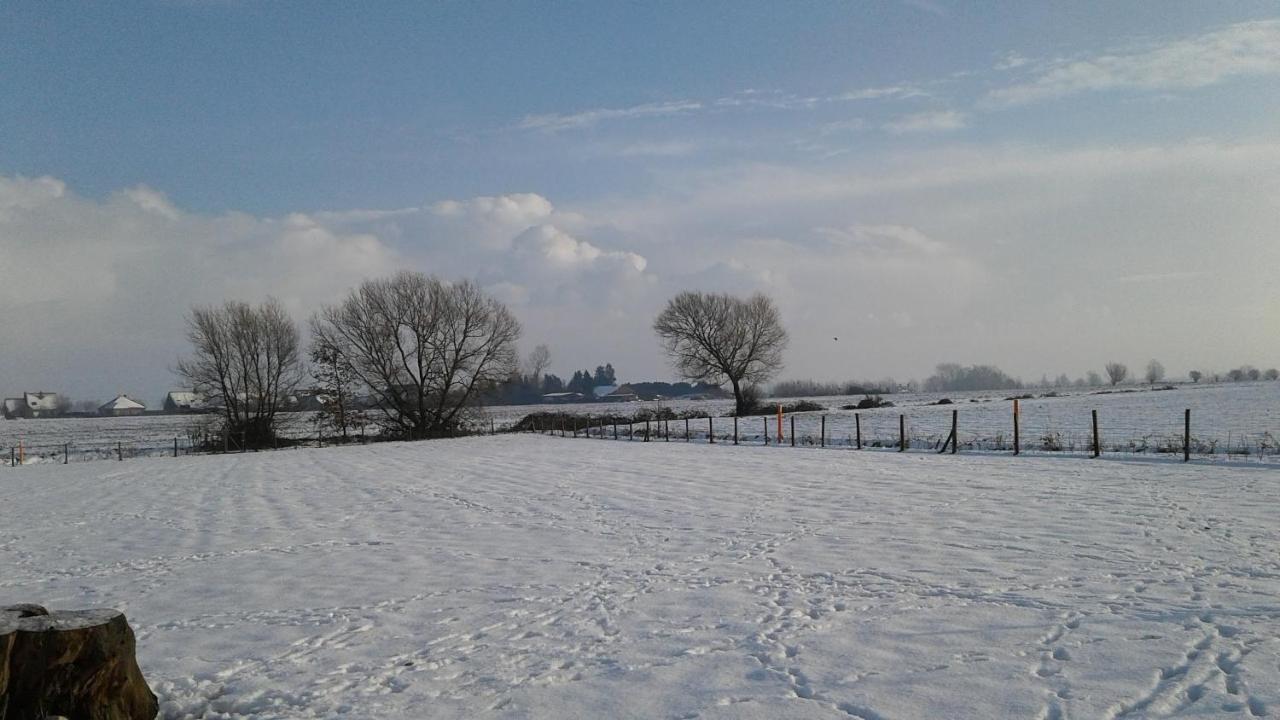 B & B Victors Hof, Met Zwemvijver In Landelijke Setting Lievegem Dış mekan fotoğraf
