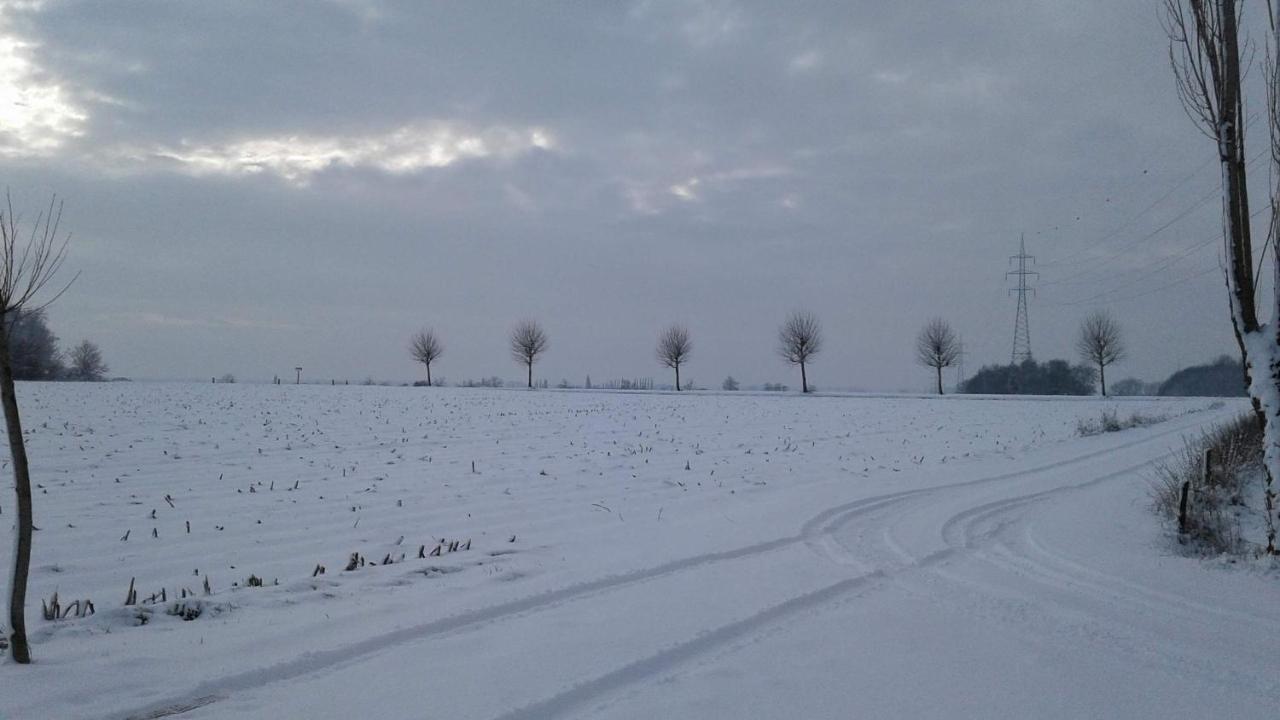 B & B Victors Hof, Met Zwemvijver In Landelijke Setting Lievegem Dış mekan fotoğraf
