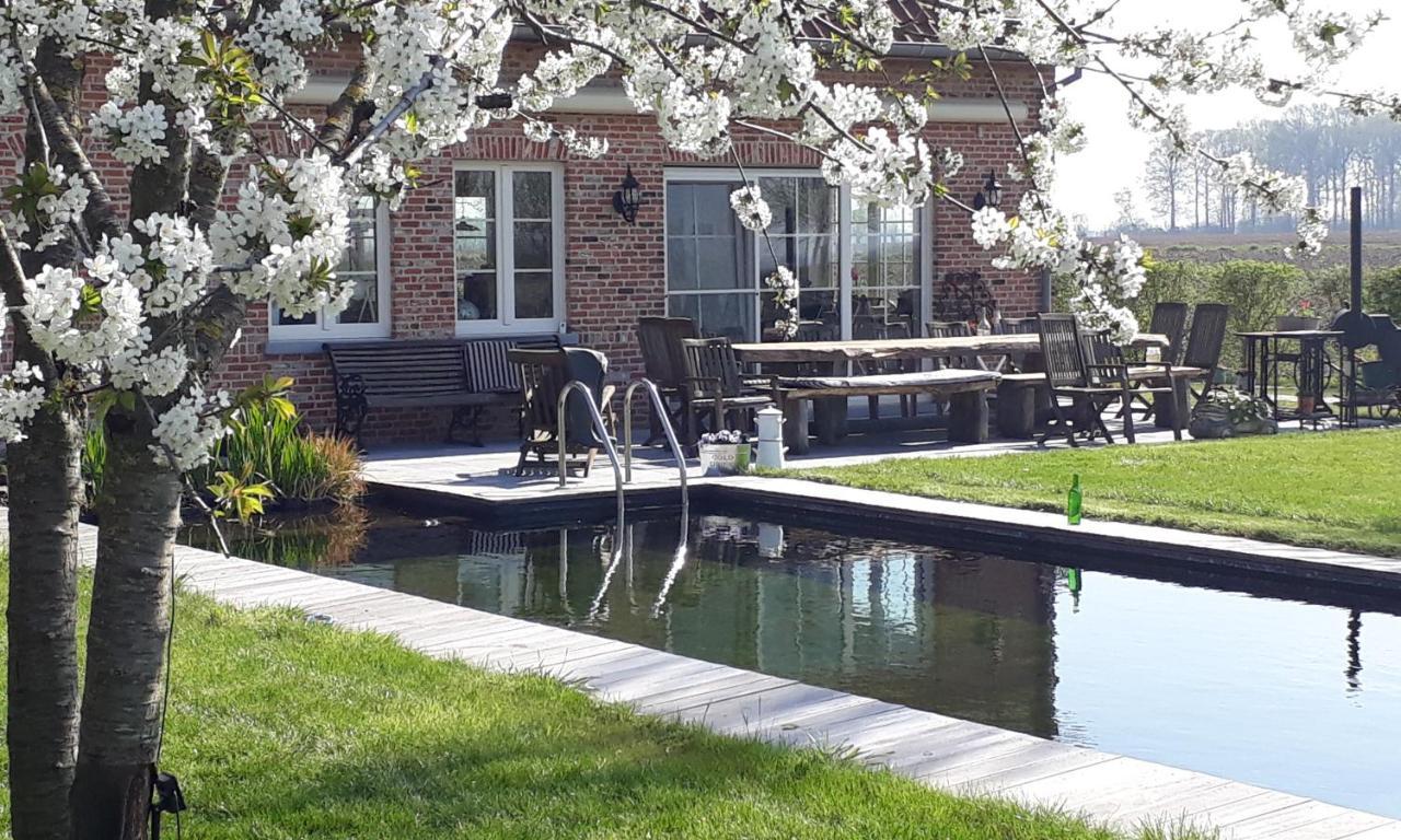 B & B Victors Hof, Met Zwemvijver In Landelijke Setting Lievegem Dış mekan fotoğraf
