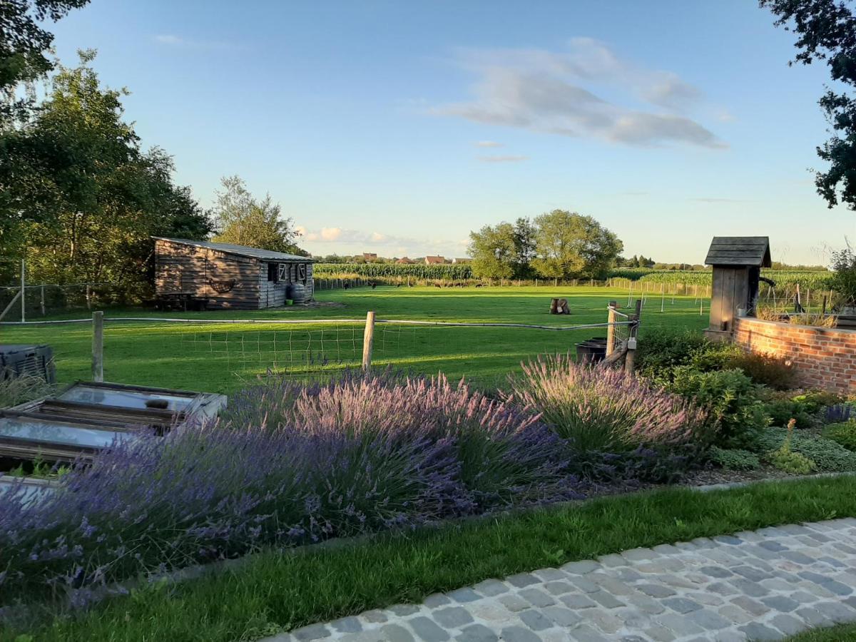 B & B Victors Hof, Met Zwemvijver In Landelijke Setting Lievegem Dış mekan fotoğraf