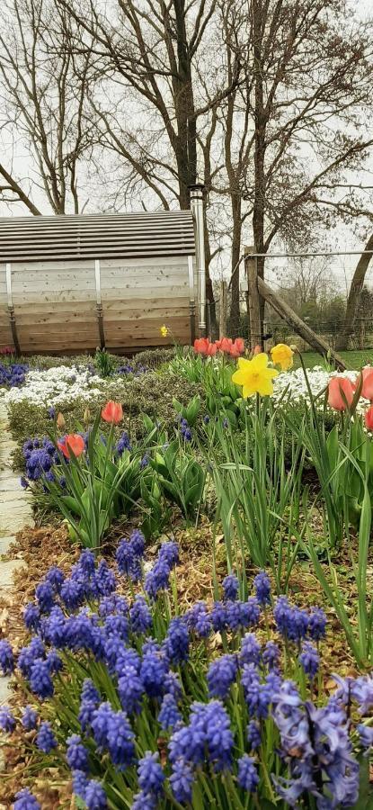 B & B Victors Hof, Met Zwemvijver In Landelijke Setting Lievegem Dış mekan fotoğraf