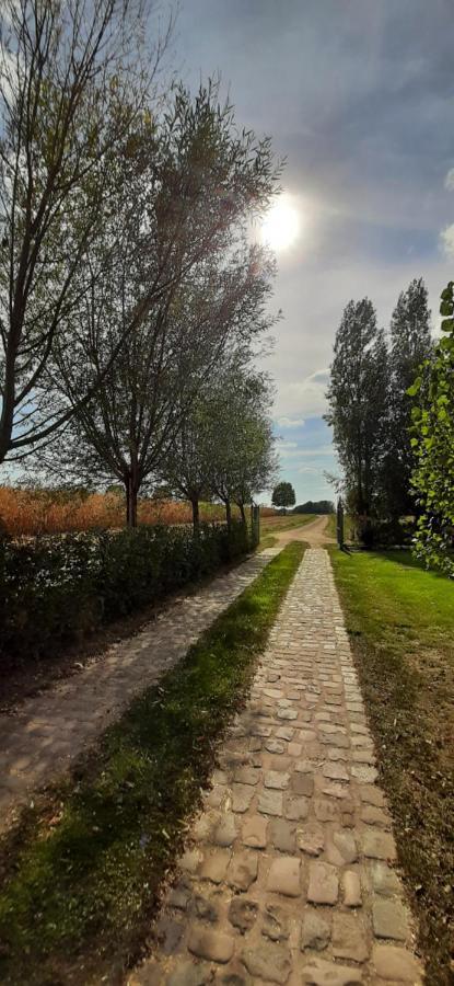 B & B Victors Hof, Met Zwemvijver In Landelijke Setting Lievegem Dış mekan fotoğraf