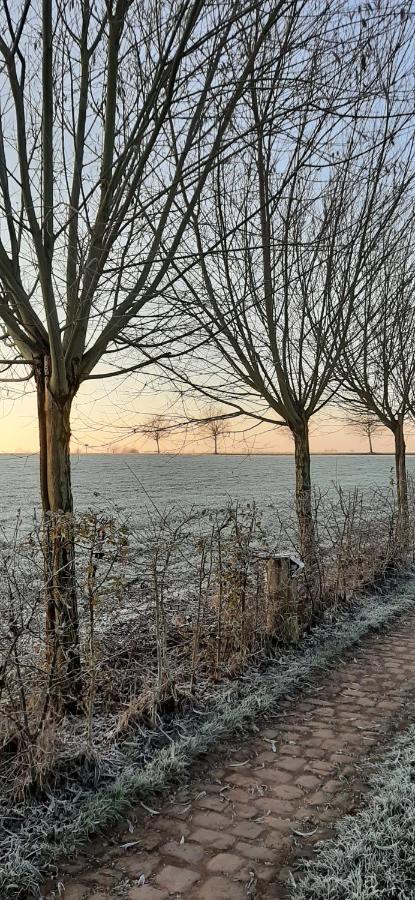 B & B Victors Hof, Met Zwemvijver In Landelijke Setting Lievegem Dış mekan fotoğraf